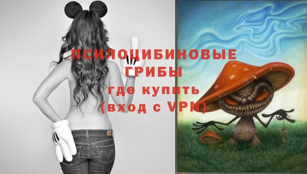 скорость Краснослободск
