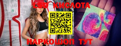 метадон Аргун