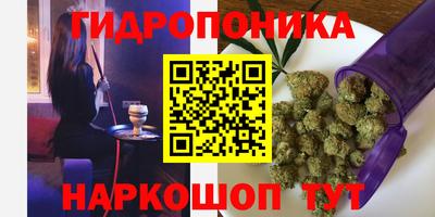 метадон Аргун