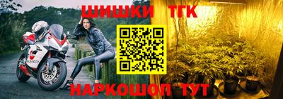 сатива Аргун
