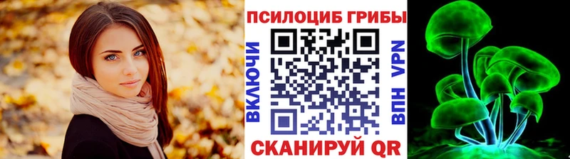 Псилоцибиновые грибы мицелий  что такое   Бийск 