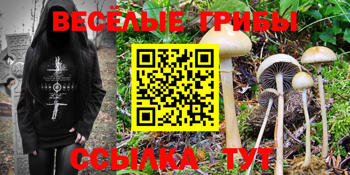 Псилоцибиновые грибы GOLDEN TEACHER Бийск