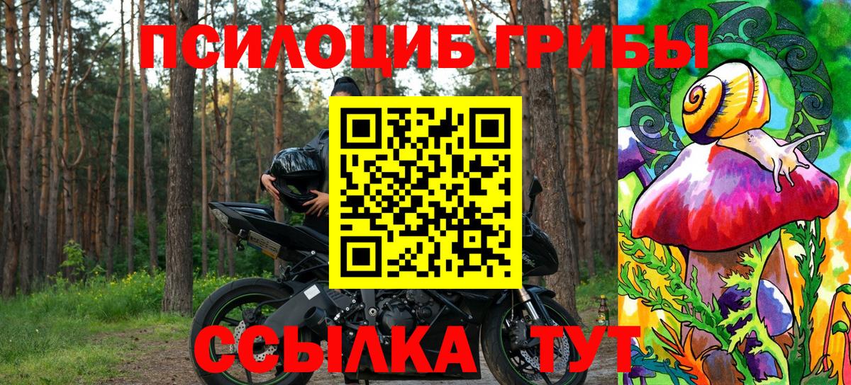 Галлюциногенные грибы GOLDEN TEACHER  Вход с VPN  Бийск  Галлюциногенные грибы MAGIC MUSHROOMS 