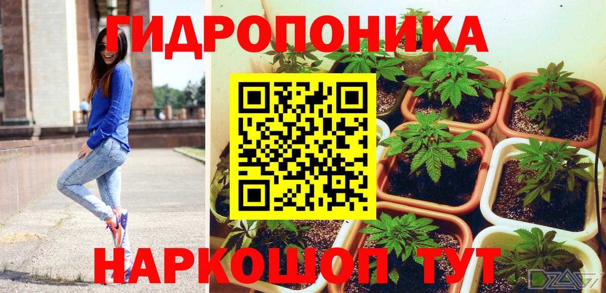 Бошки Шишки индика  Вход с VPN  МАРИХУАНА White Widow  Шишки марихуана тримм  МАРИХУАНА THC 21%  Бийск 